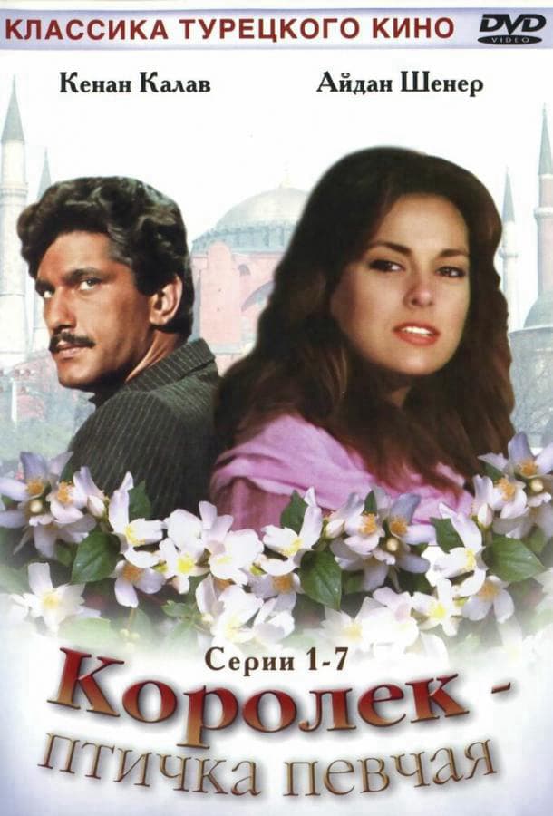 Королёк – птичка певчая / Çalikusu / 1986