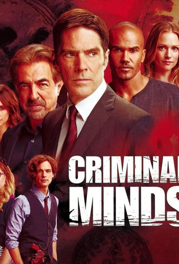 Мыслить как преступник / Criminal Minds / США